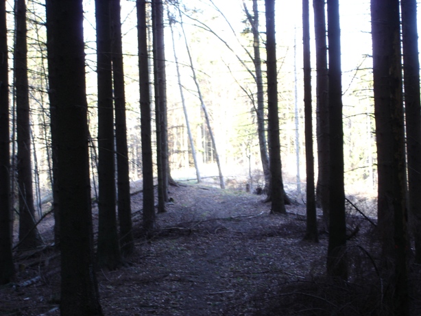 chodníky 022