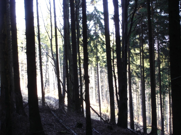 chodníky 023
