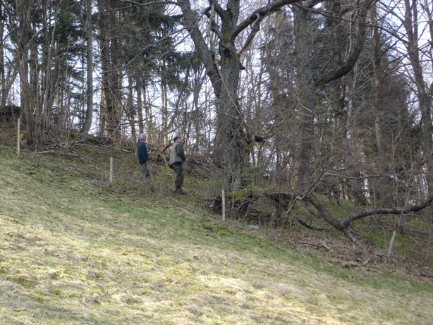 chodníky 036