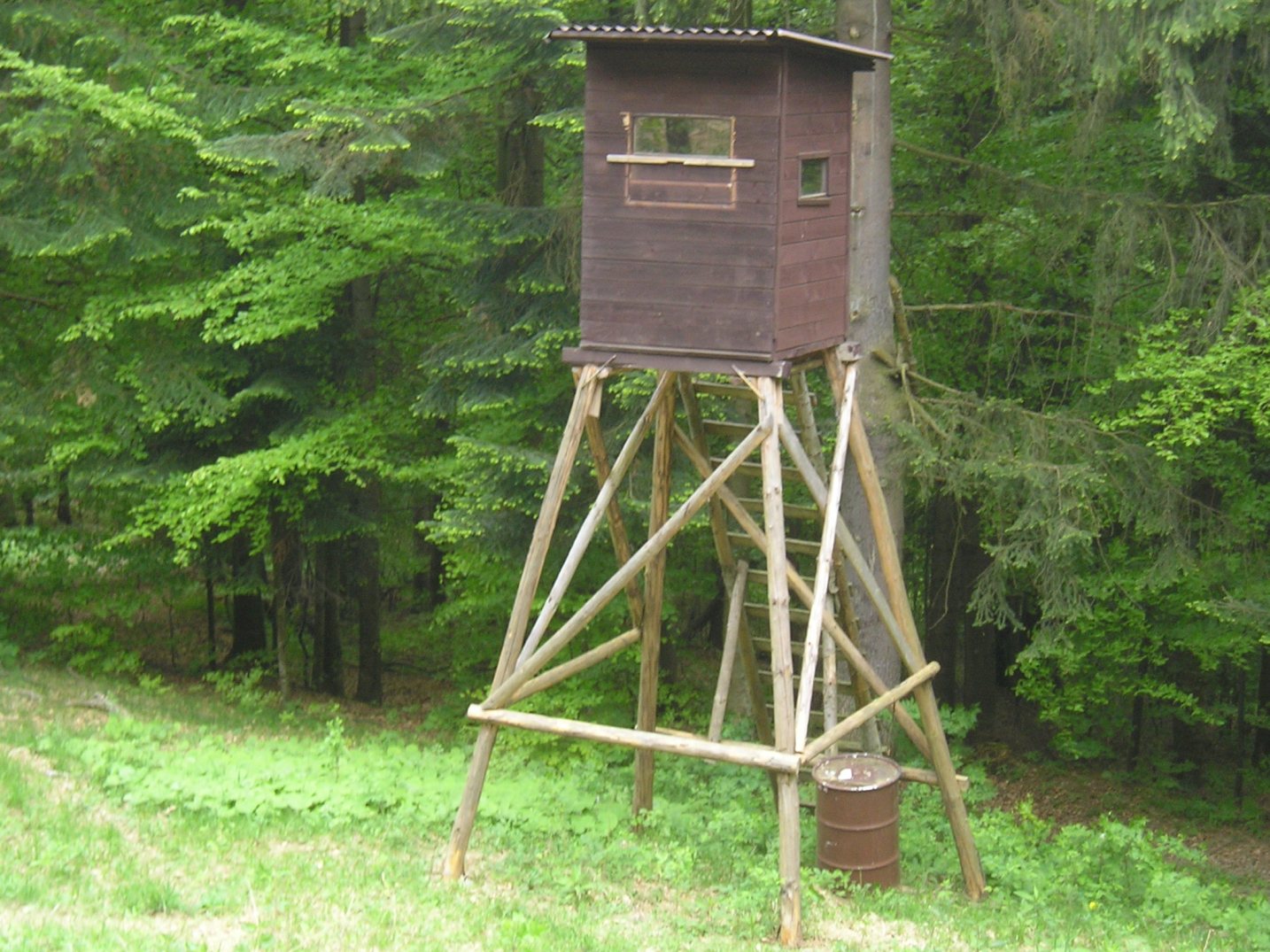 P1010073