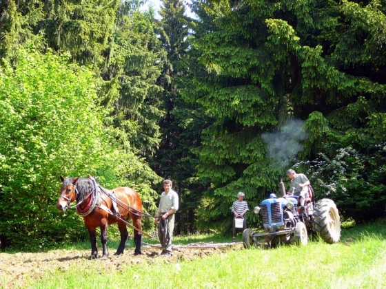 P1150041