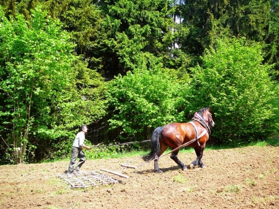 P1150044