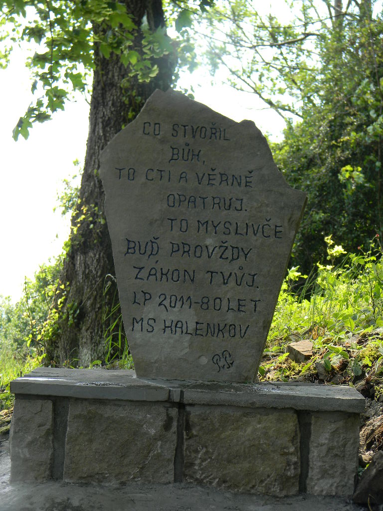DSCN2137