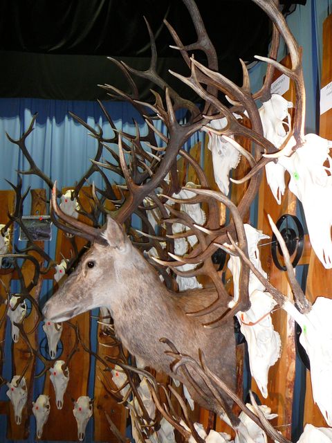 P1100891