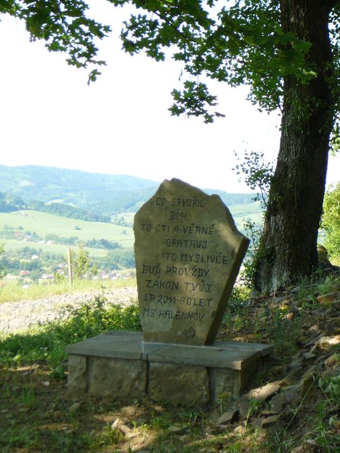 P1100981