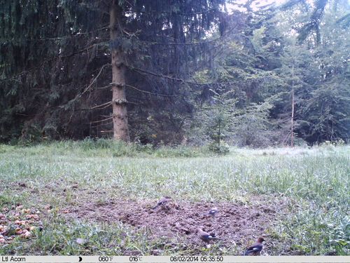 IMAG0013