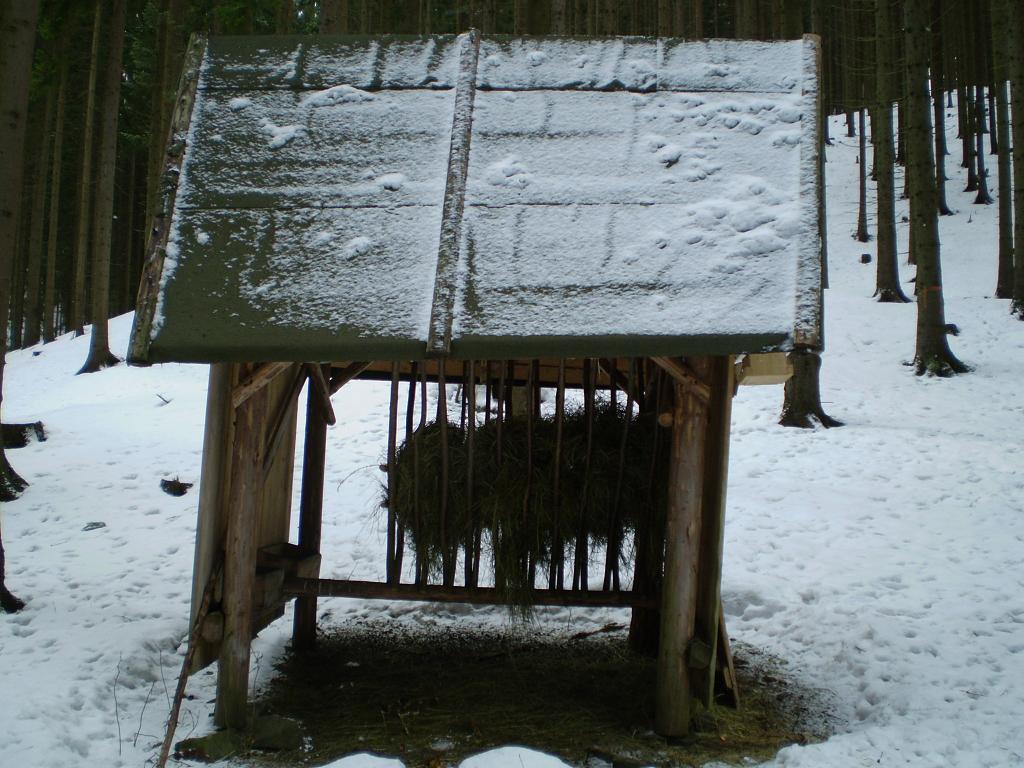 Kontrola 008.JPG