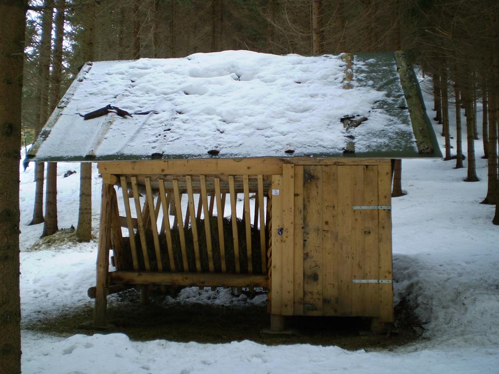Kontrola 010.JPG