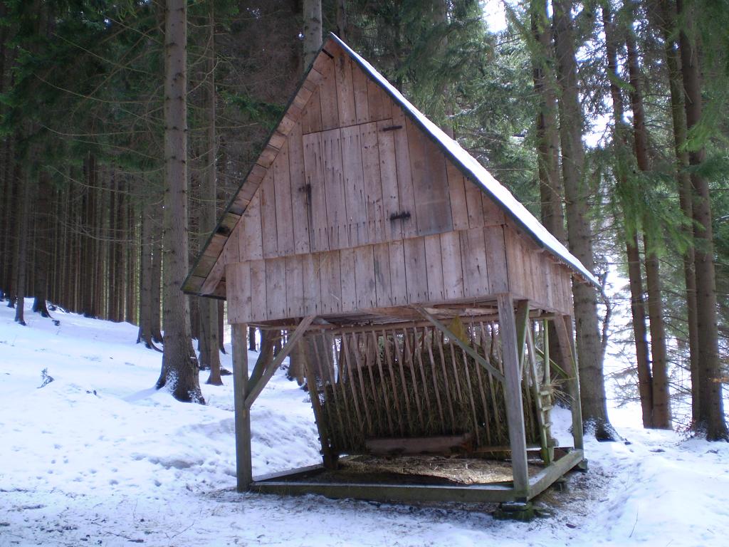 Kontrola 016.JPG