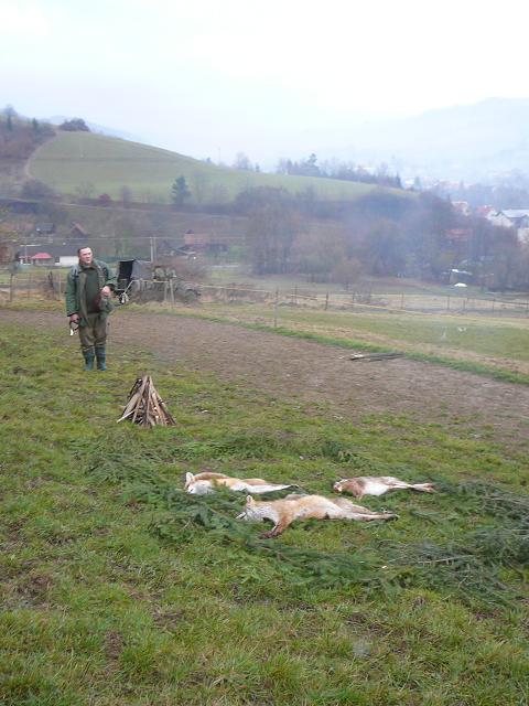 P1050676.JPG