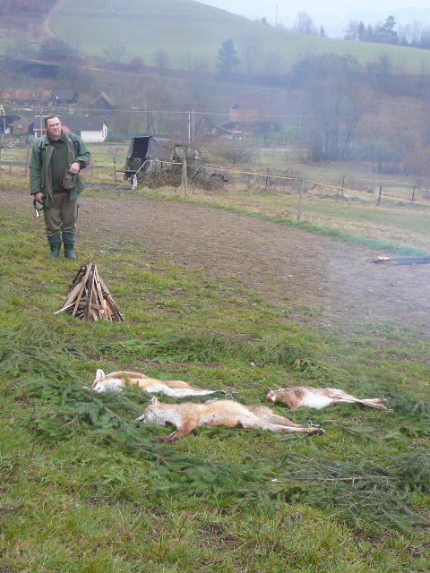 P1050679.JPG