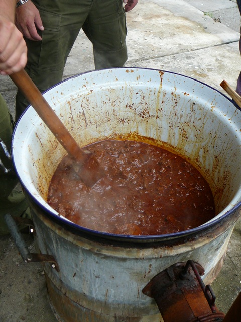 P1060954